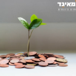 צמיחה כלכלית בעסקים